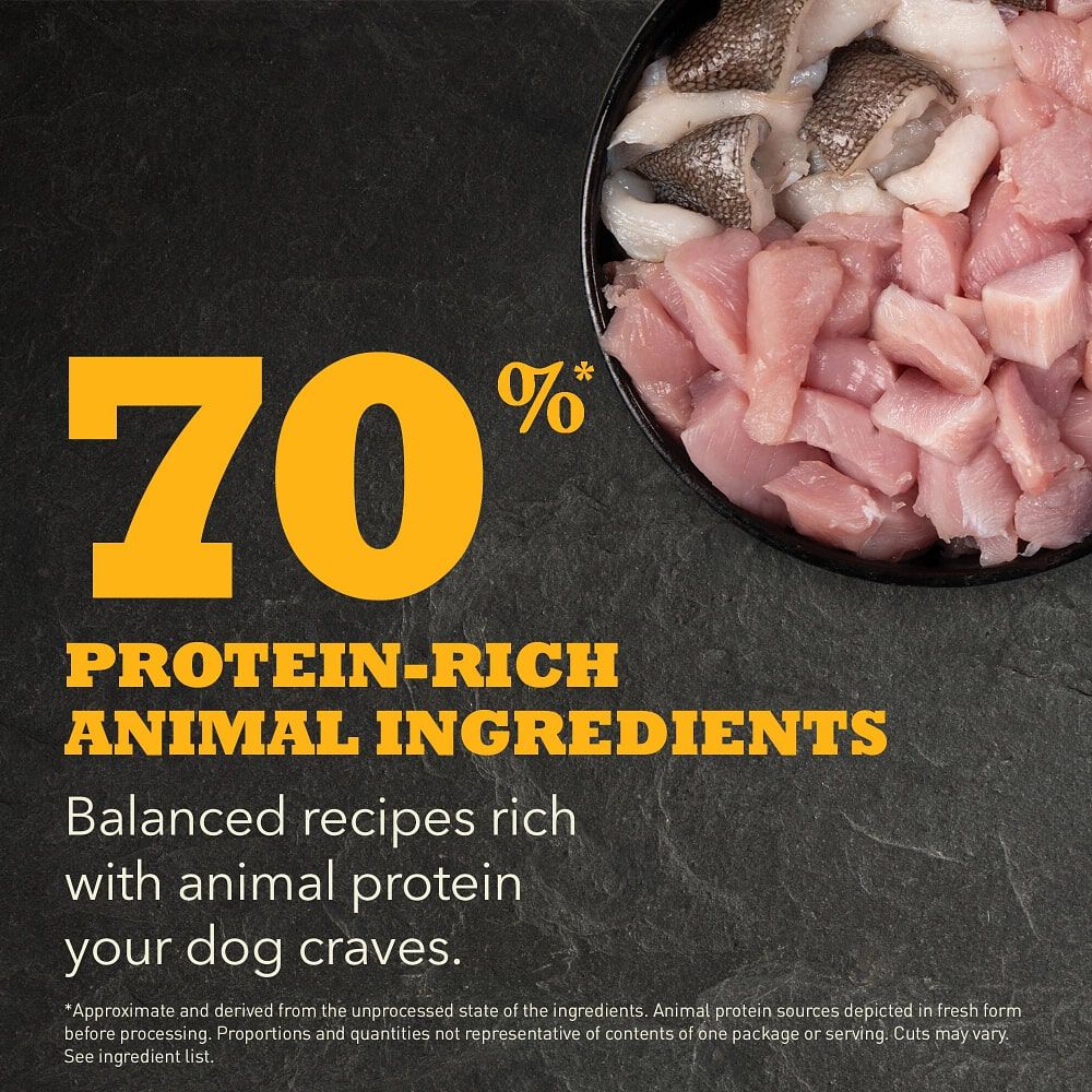 Acana puppy junior dog sales food review